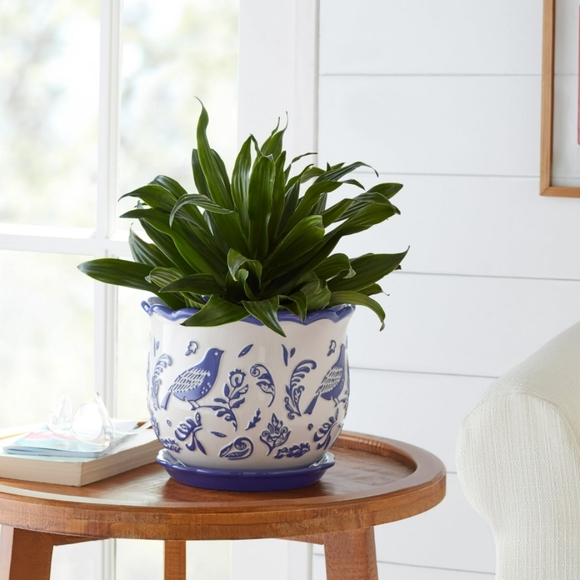 ❤️ New Mazie Bird 8" Cobalt Ceramic Planter from Pioneer Woman - Picture 8 of 8